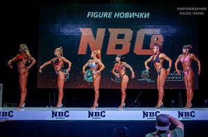 FIGURE НОВИЧКИ